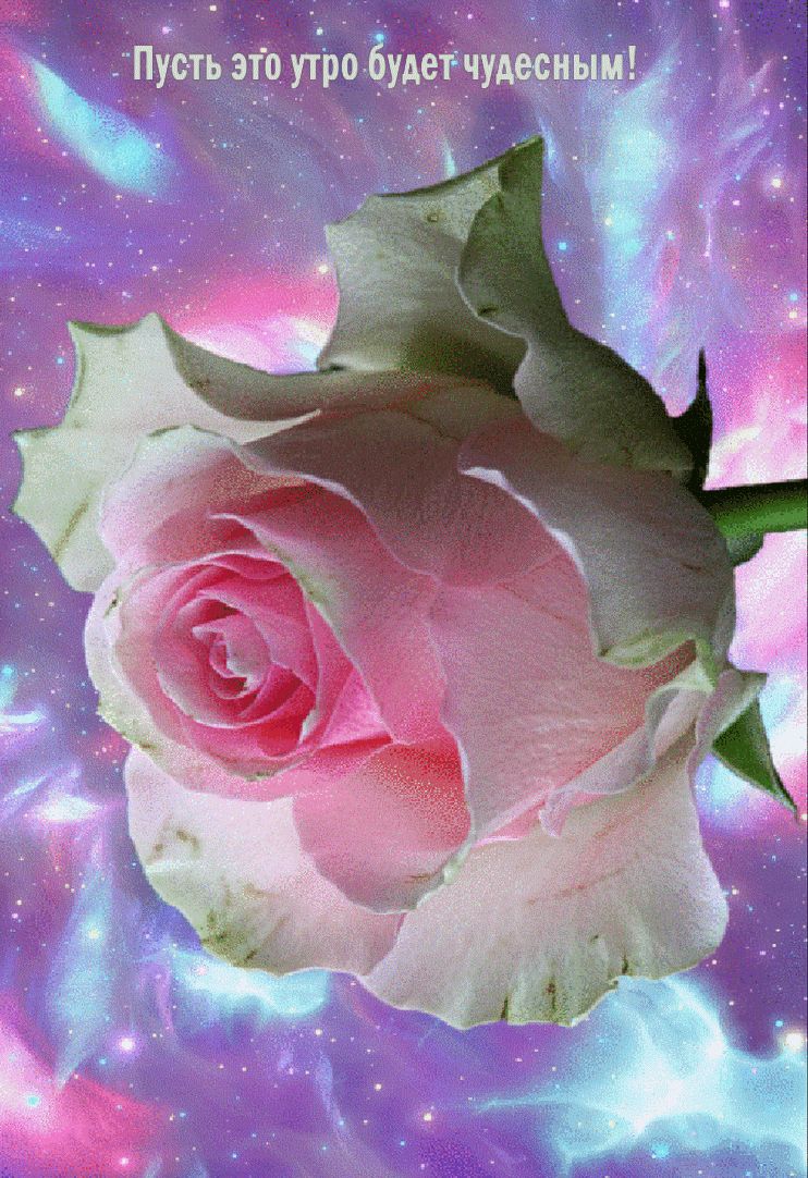 Пусть это утро будет чудесным!
