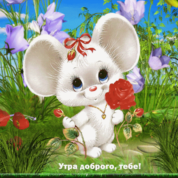 Утра доброго, тебе! От зайчика