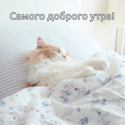 Самого доброго утра!