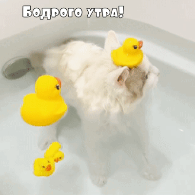 Бодрого утра!