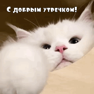 С добрым утречком!