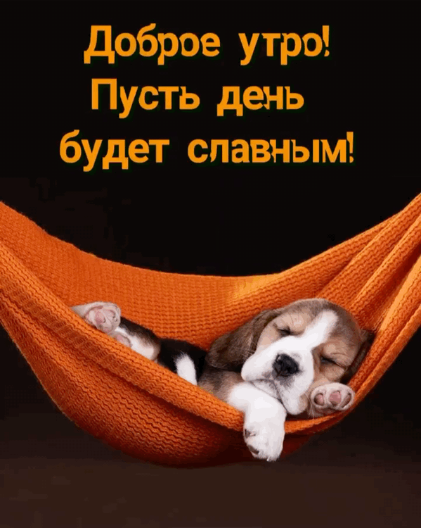 Доброе утро! Пусть день будет славным!