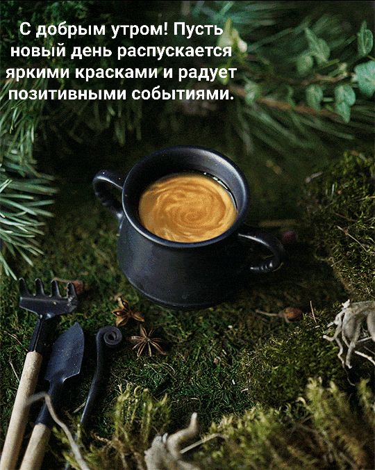 Пусть день распускается яркими красками