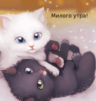 Милого утра!