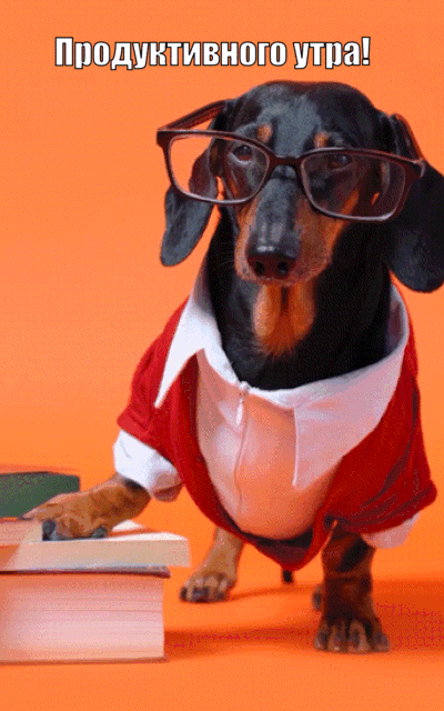 Продуктивного утра!