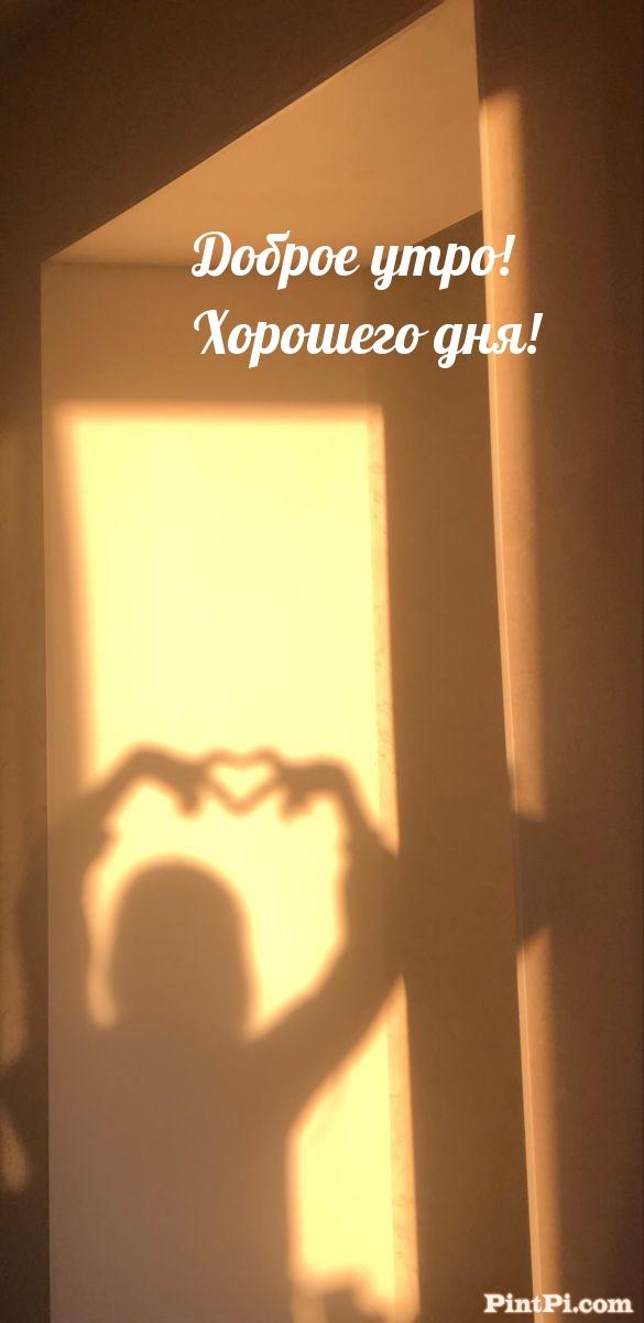 Доброе утро! Хорошего дня!