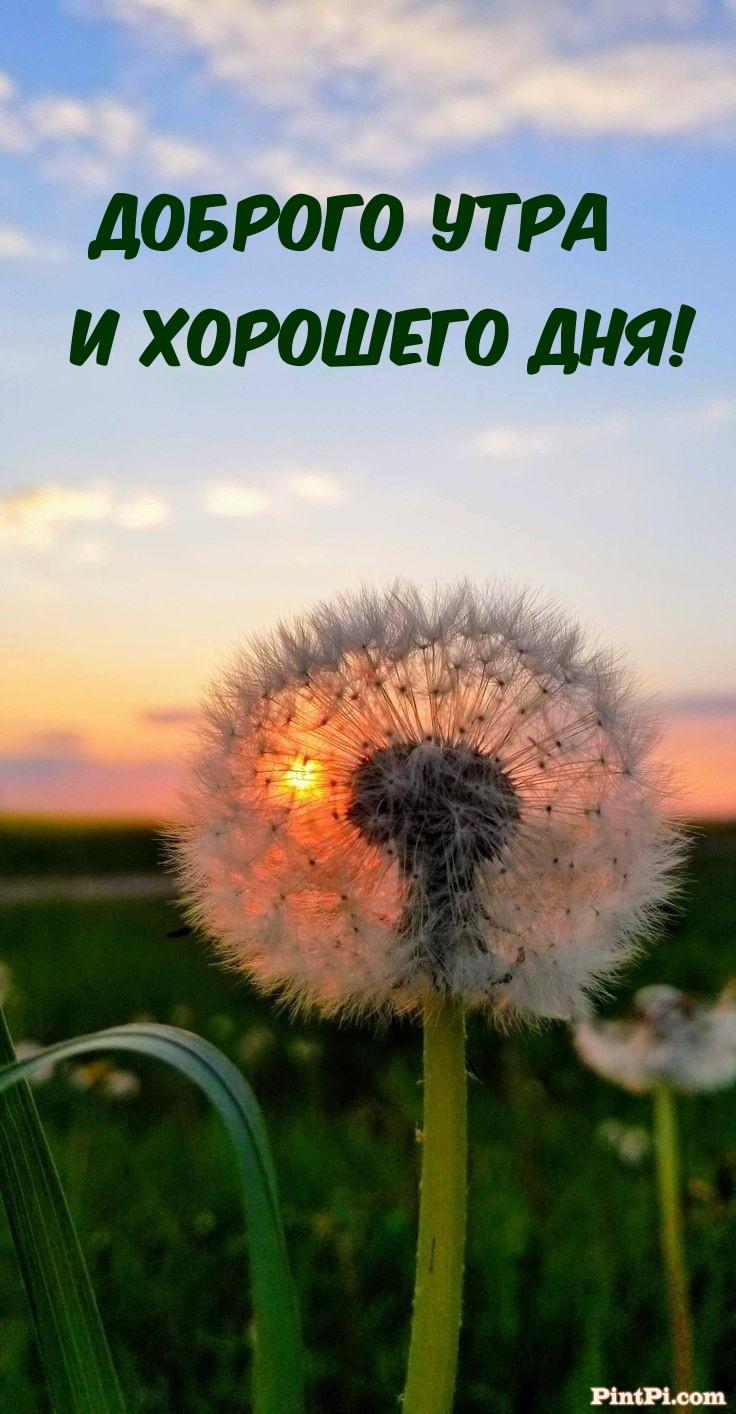 Доброго утра и хорошего дня!