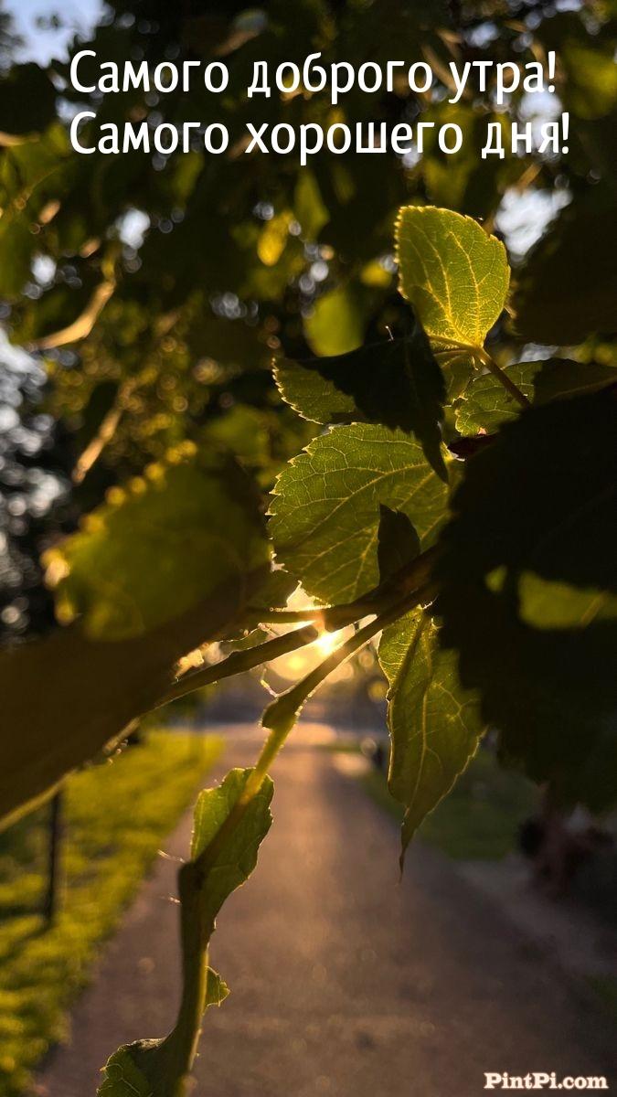 Самого доброго утра! Самого хорошего дня!