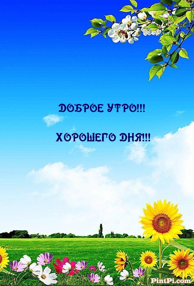 Доброе утро! Хорошего дня!