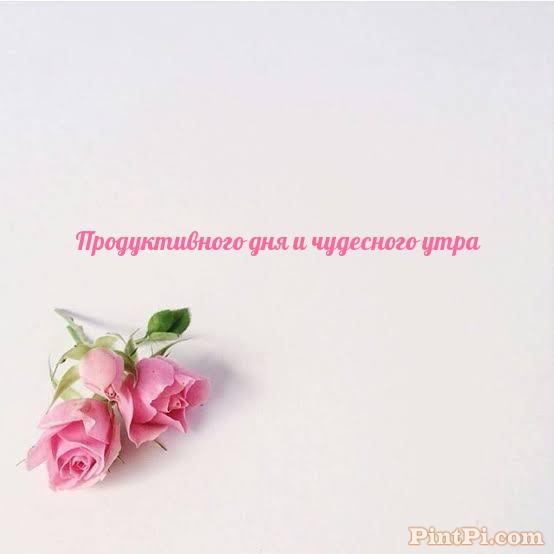 Продуктивного дня и чудесного утра