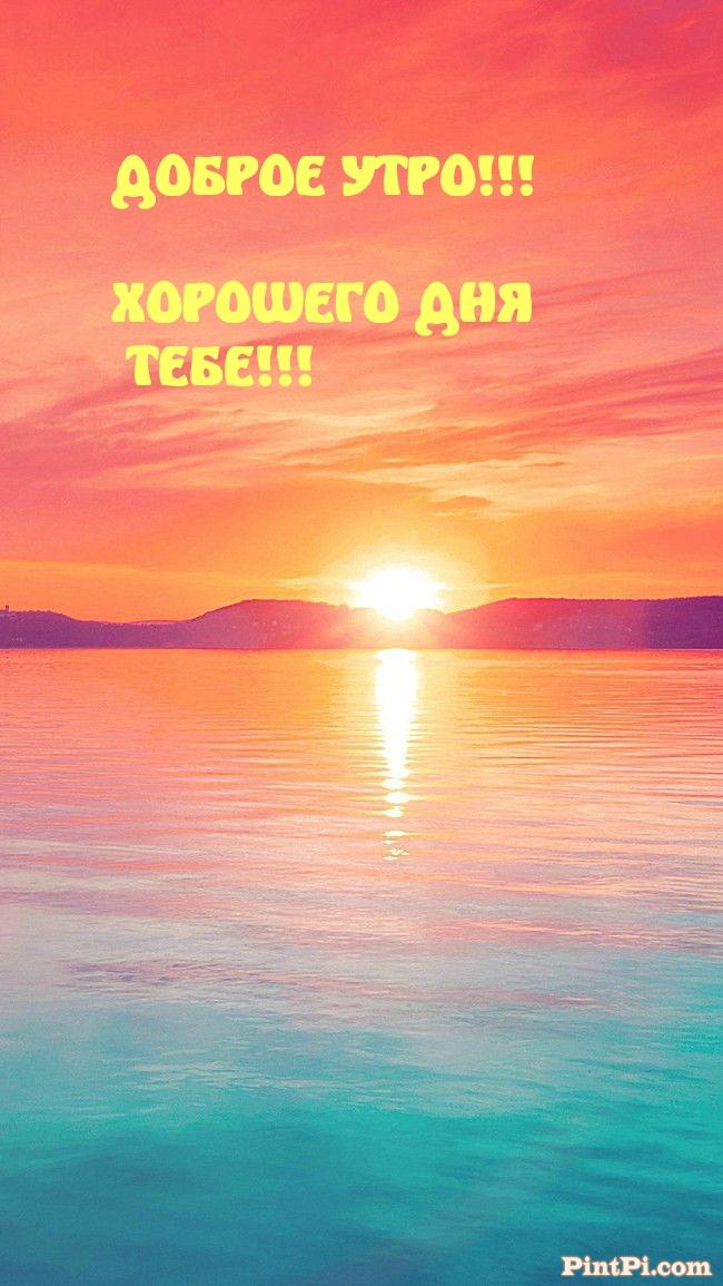 Доброе утро! Хорошего дня тебе!