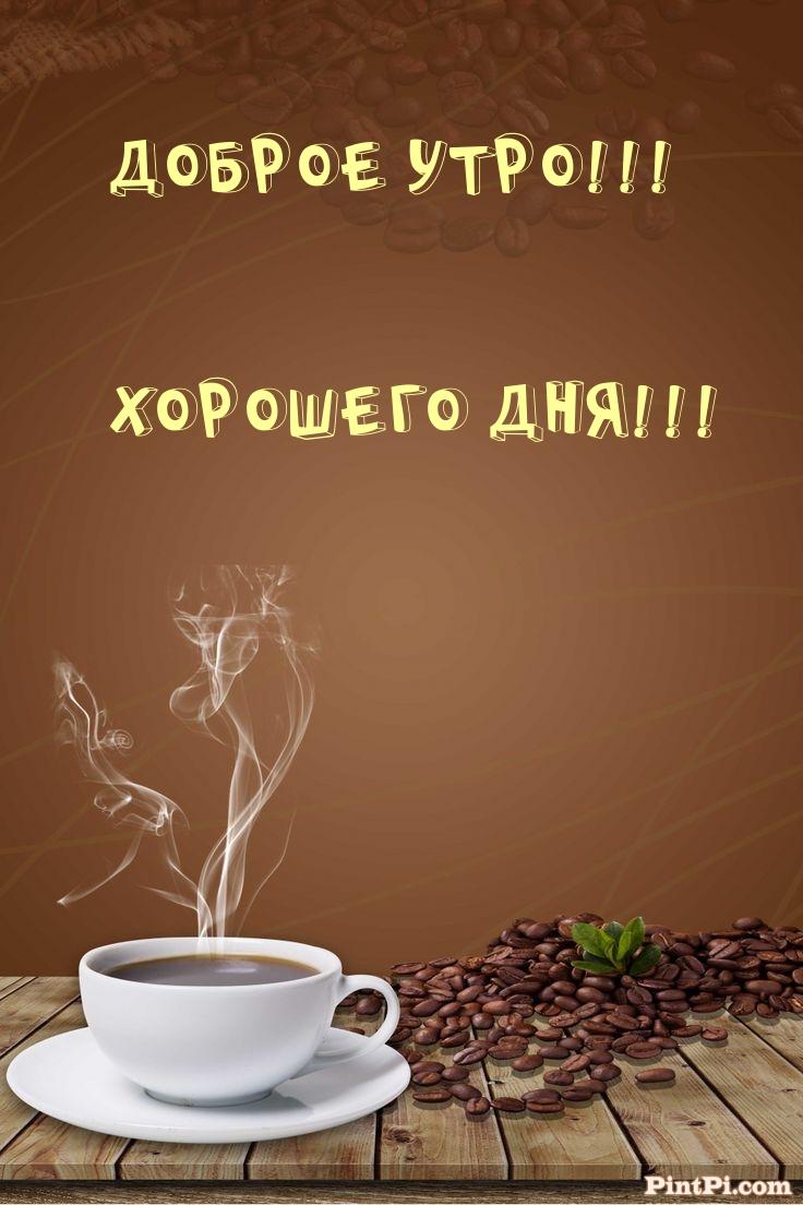 Доброе утро! Хорошего дня!