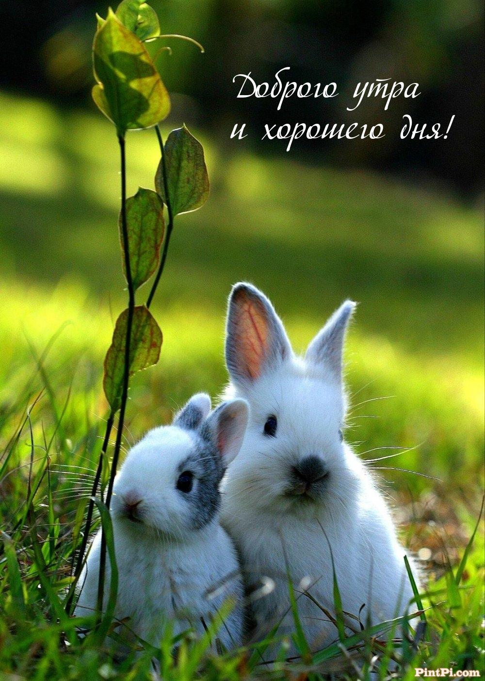 Доброго утра и хорошего дня!