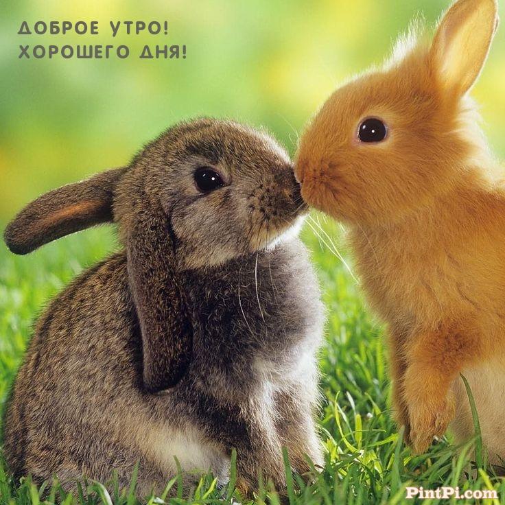 Доброе утро! Хорошего дня!