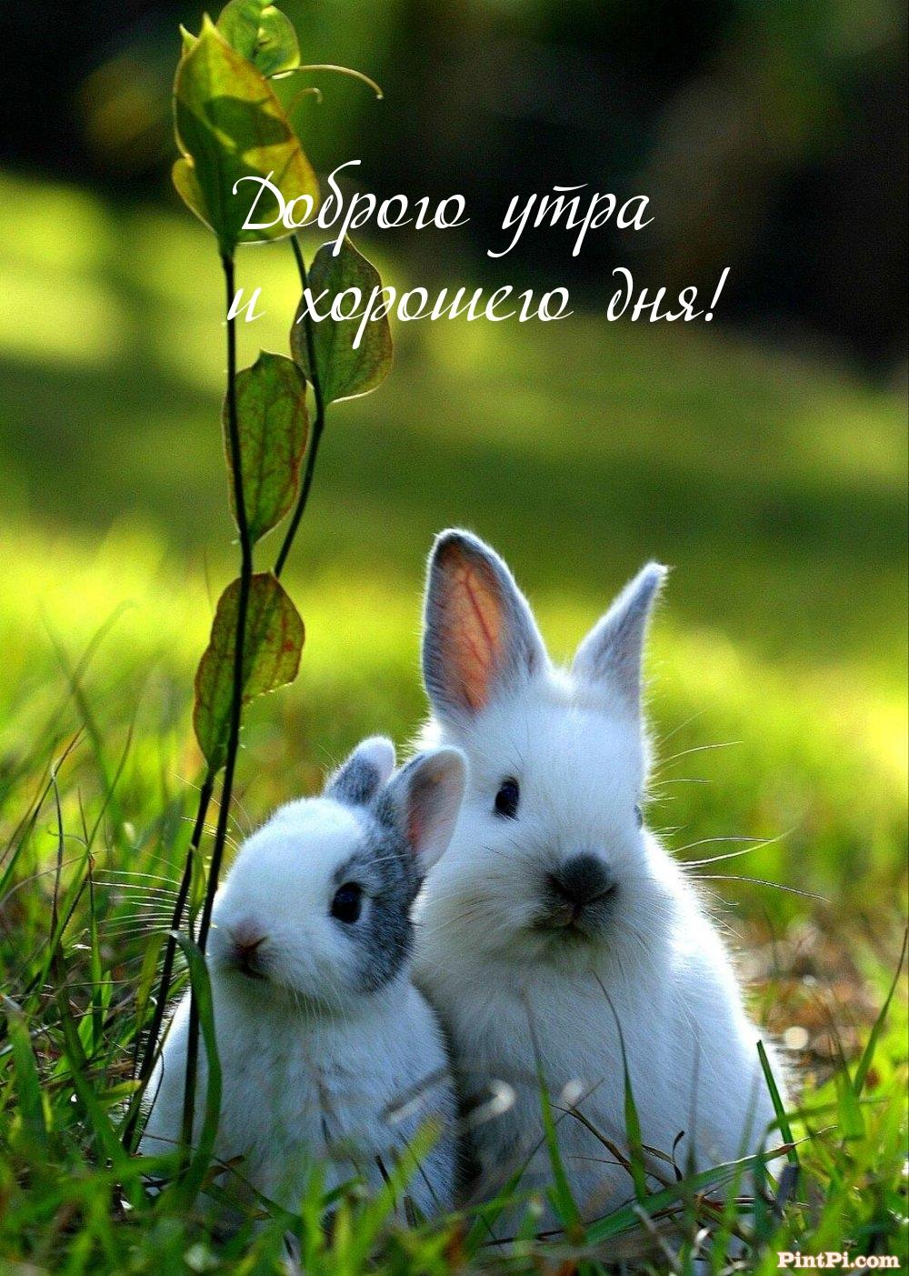 Доброго утра и хорошего дня!