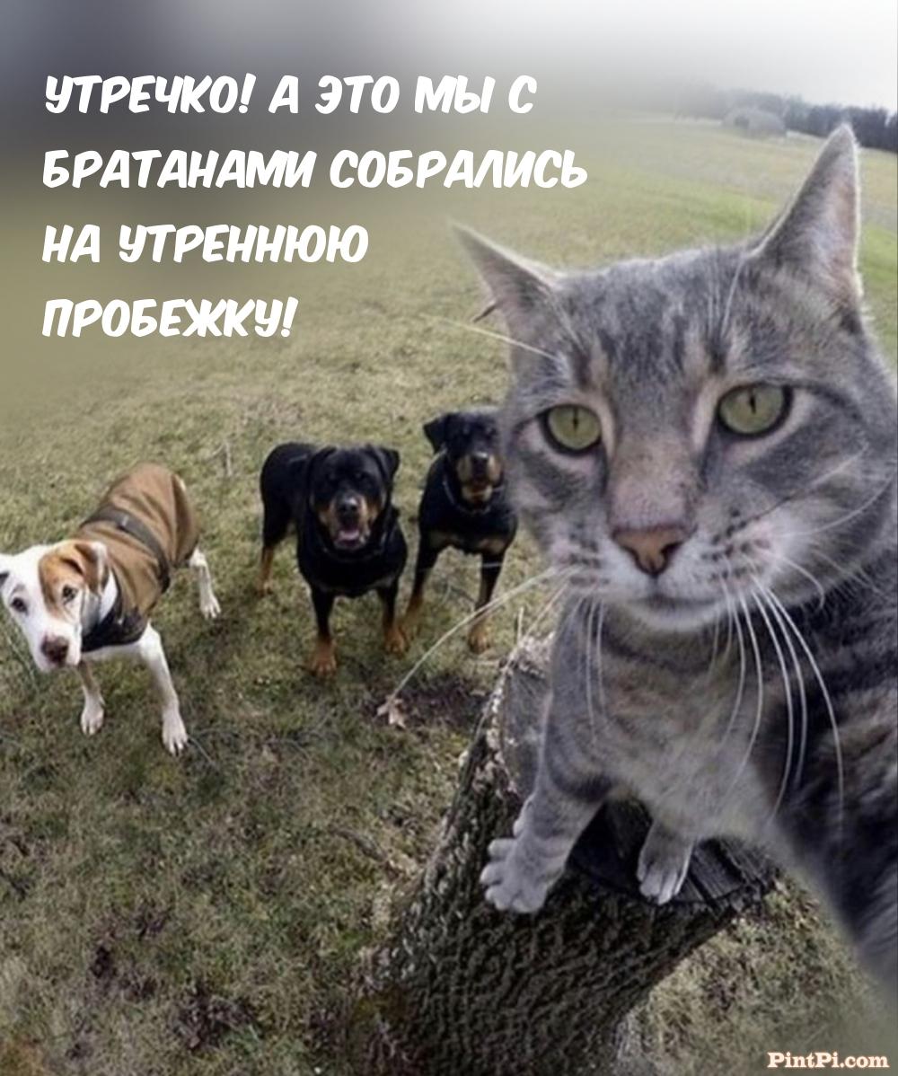 Это мы с братанами собрались на утреннюю пробежку! 