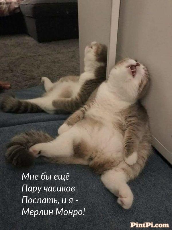 Мне бы ещё Пару часиков Поспать, и я - Мерлин Монро!