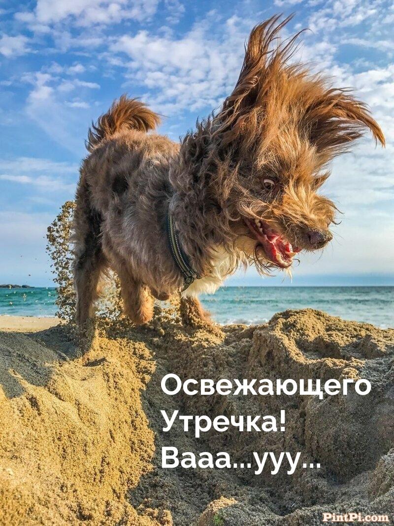 Освежающего Утречка! Вааа...ууу...