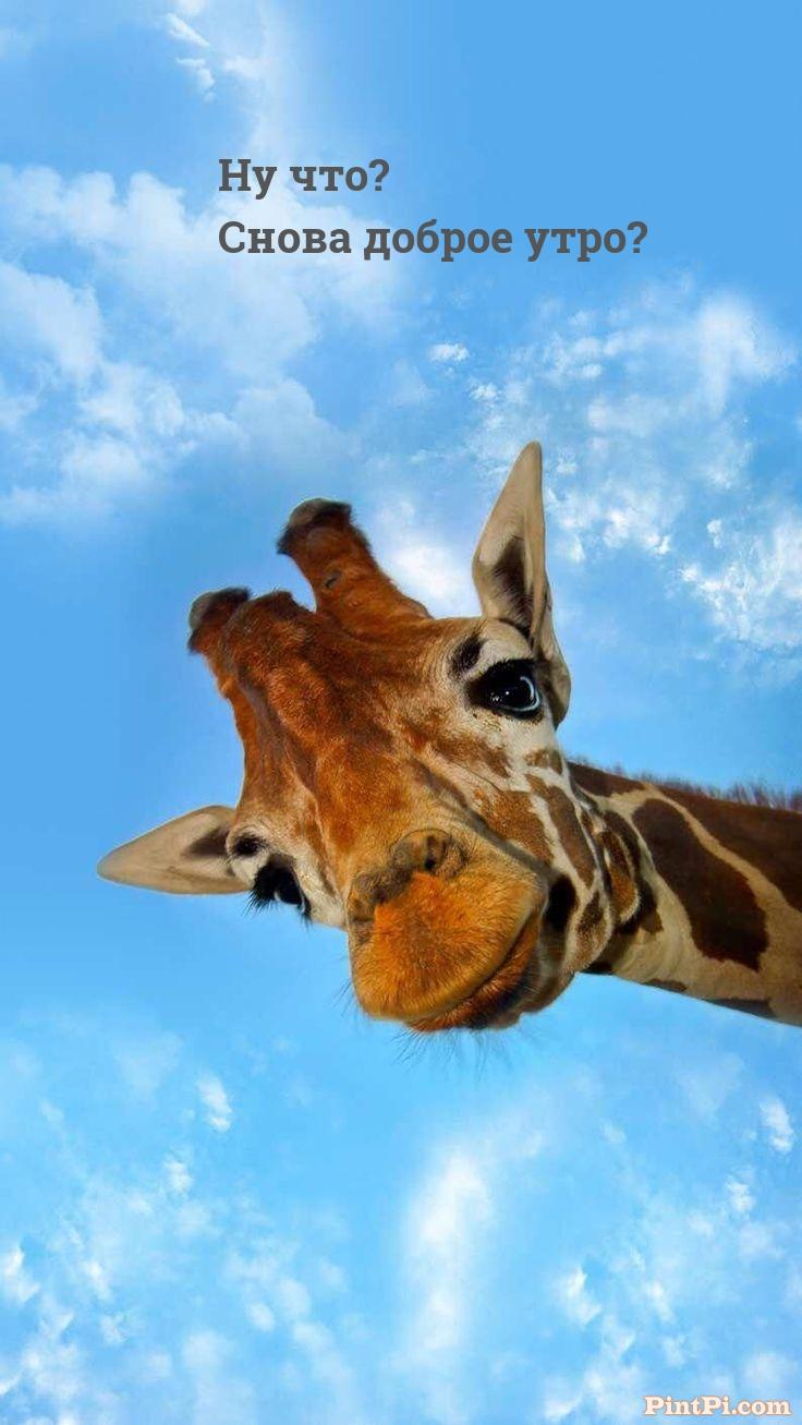 Ну что? Снова доброе утро?
