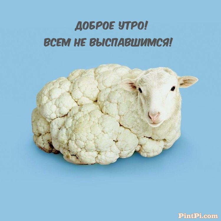 Доброе утро! Всем не выспавшимся!