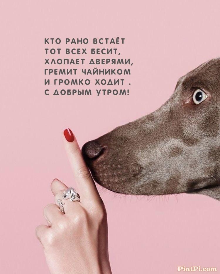 С Добрым Утром! Кто рано встаёт тот всех бесит