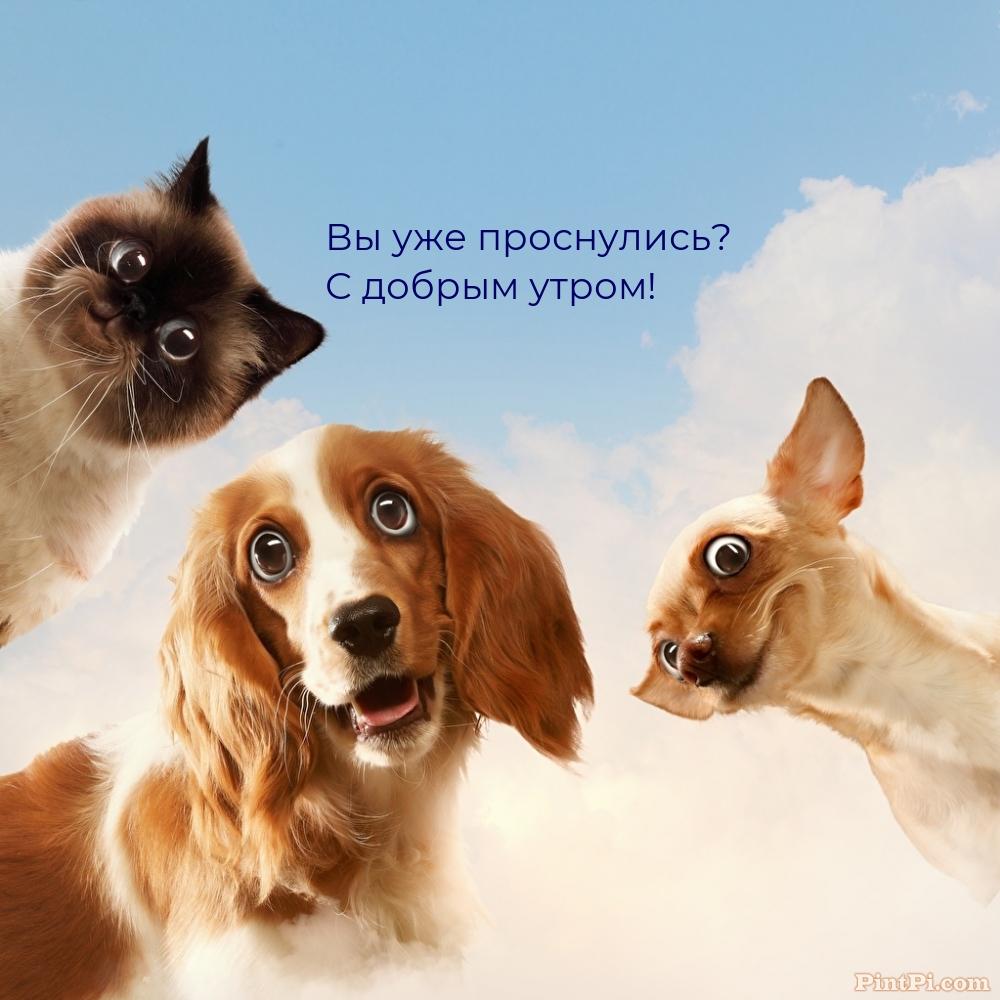 Вы уже проснулись? С добрым утром!
