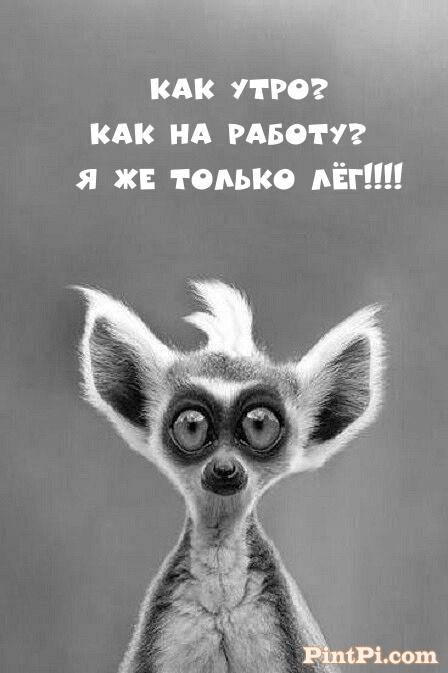 Как утро? Как на работу? Я же только лёг!