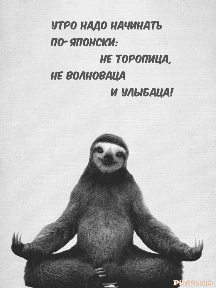 Утро надо начинать По-японски: Не торопица,  Не волноваца