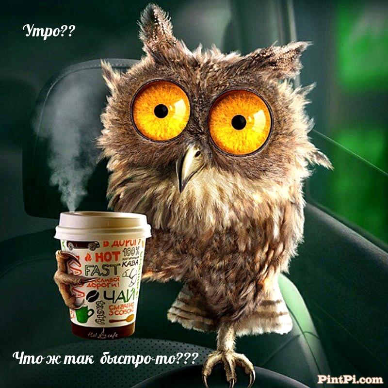 Утро?? Что ж так  быстро-то???