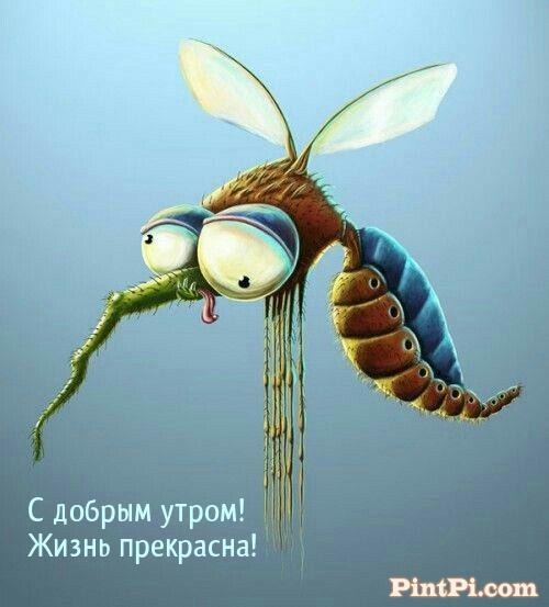 С добрым утром! Жизнь прекрасна!