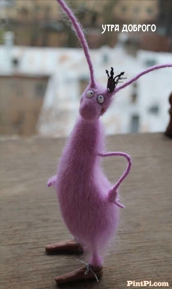 Утра доброго