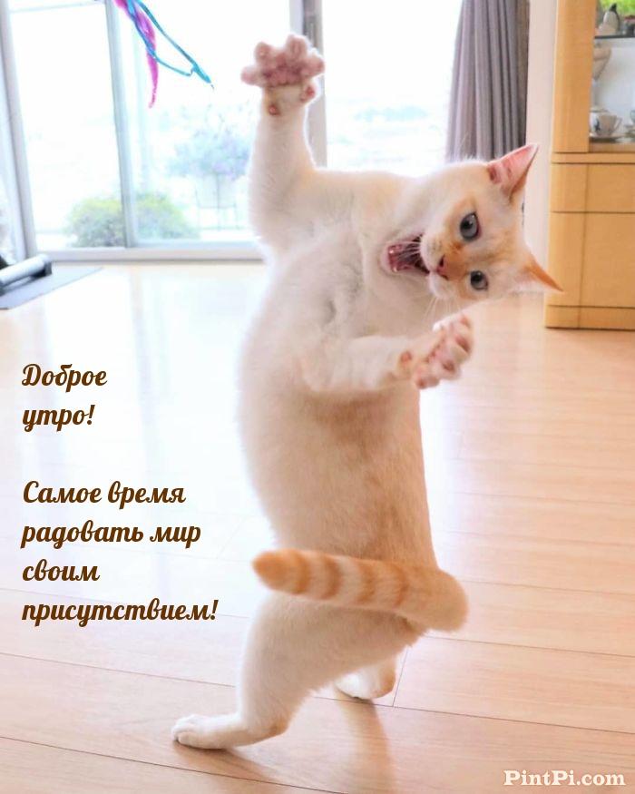 Доброе утро! Самое время радовать мир своим присутствием!