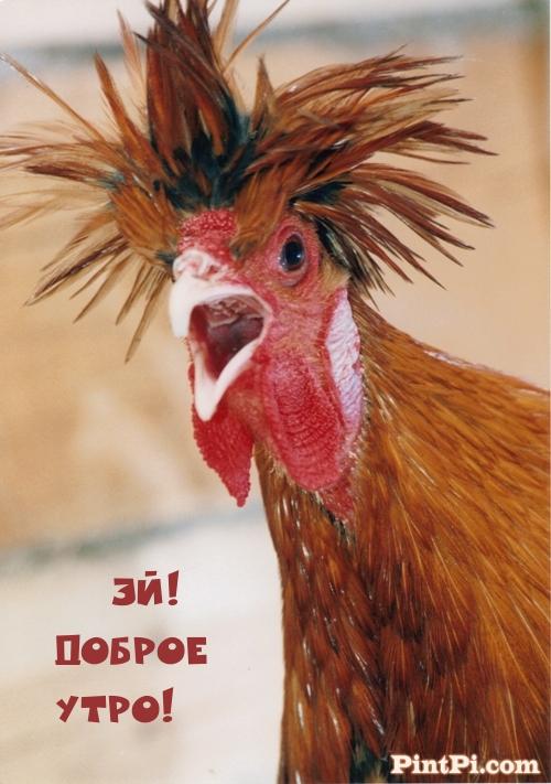 Эй! Доброе Утро!