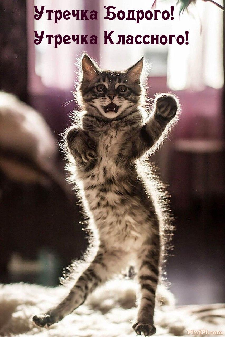 Утречка Бодрого! Утречка Классного!