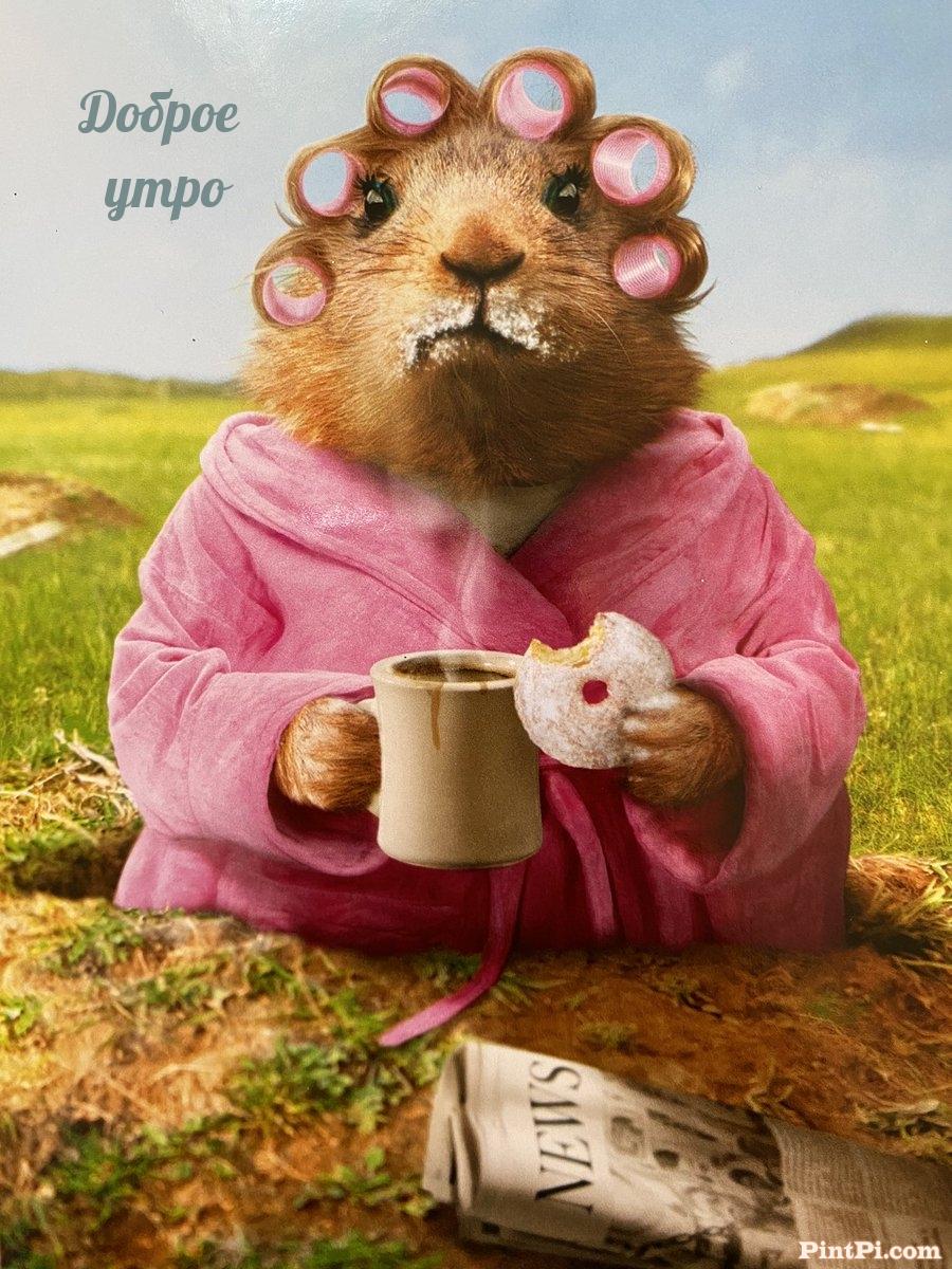 Доброе утро