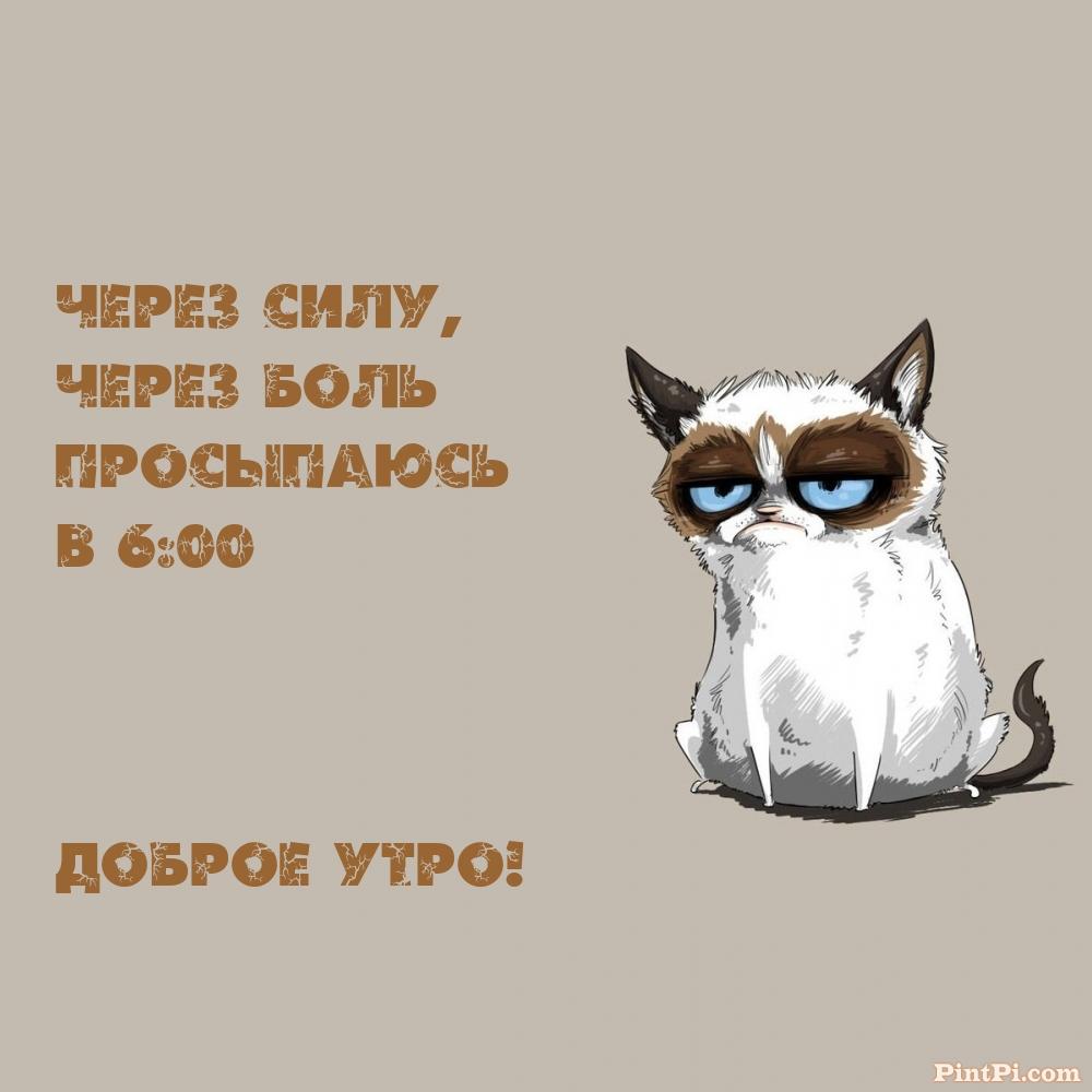 Через силу, через боль просыпаюсь в 6:00 Доброе утро!