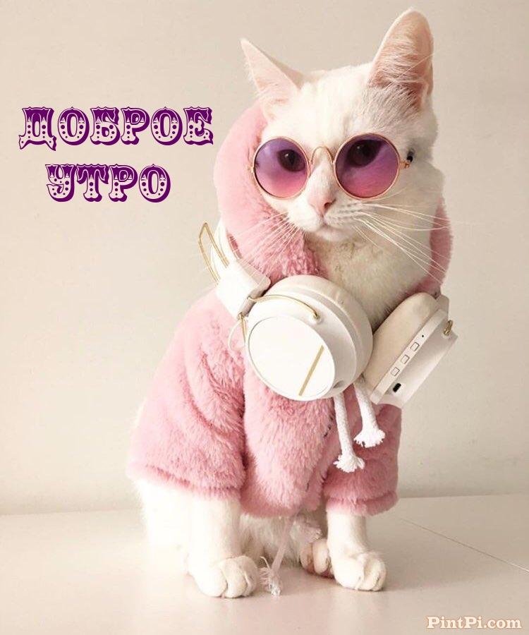 Доброе утро