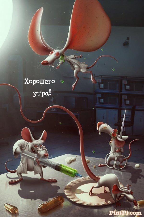 Хорошего утра!