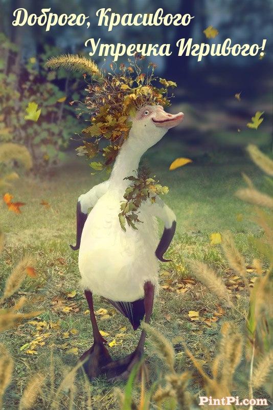 Доброго, Красивого Утречка Игривого!