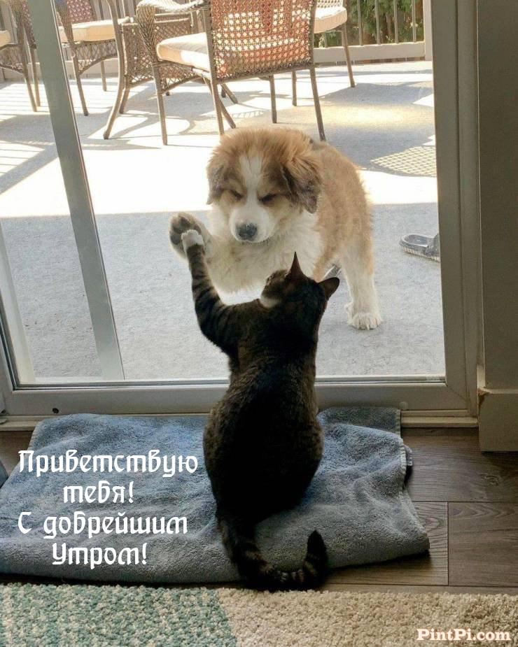 Приветствую тебя! С добрейшим Утром!