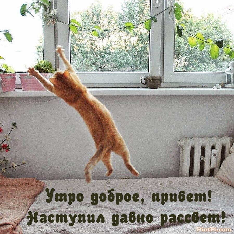 Утро доброе, привет! Наступил давно рассвет!