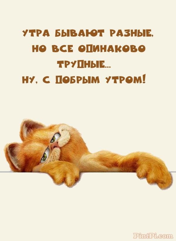 Утра бывают разные, но все одинаково Трудные...