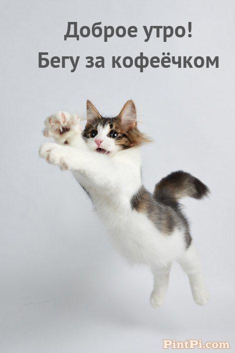 Доброе утро! Бегу за кофеёчком