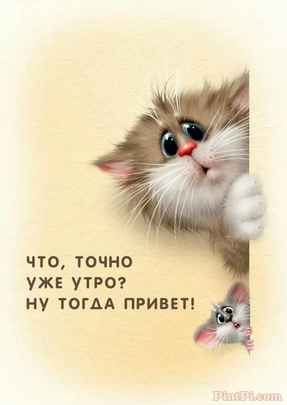Что, точно Уже утро? Ну тогда привет!
