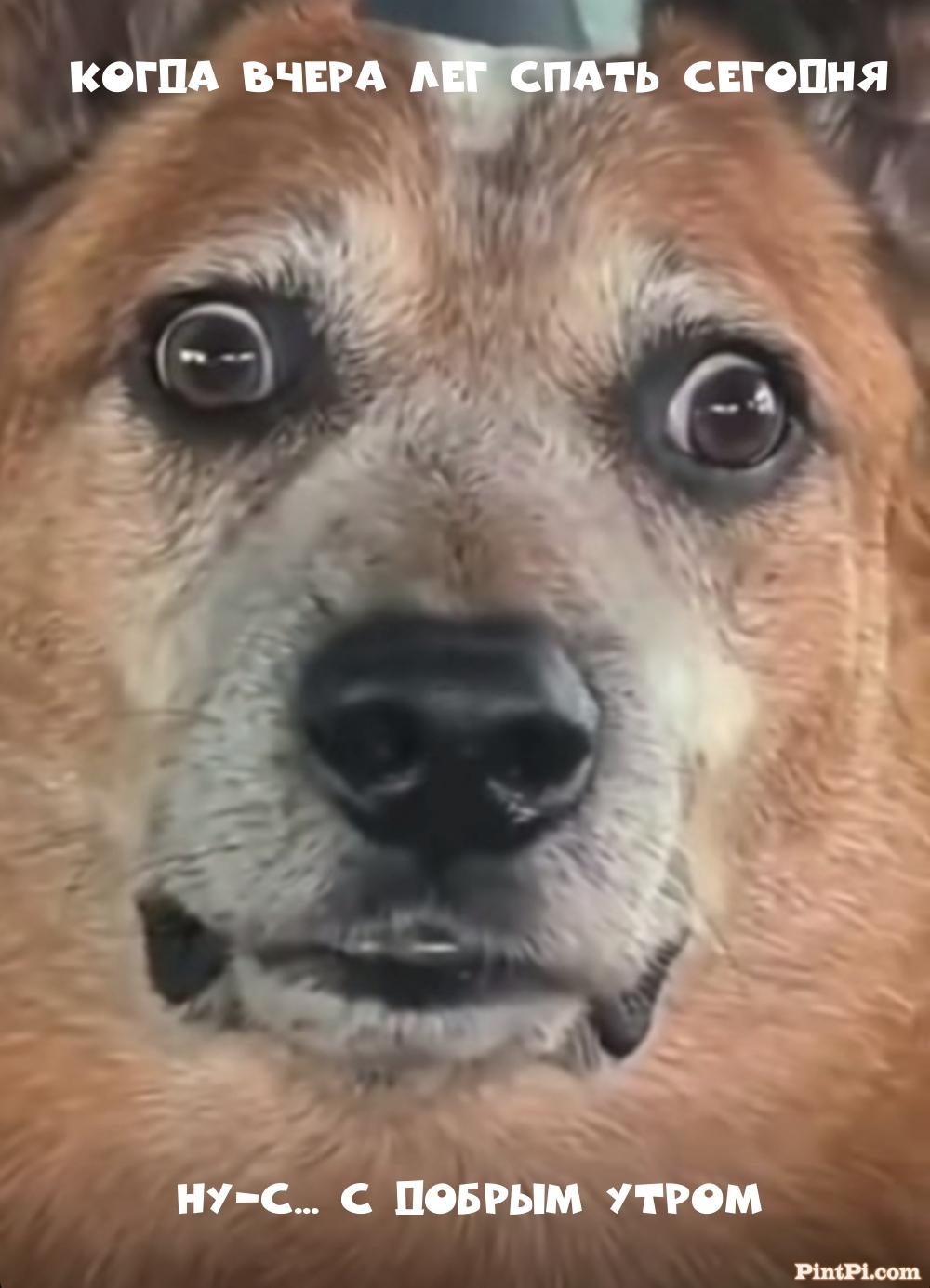 Когда вчера лег спать сегодня Ну-с... С добрым утром