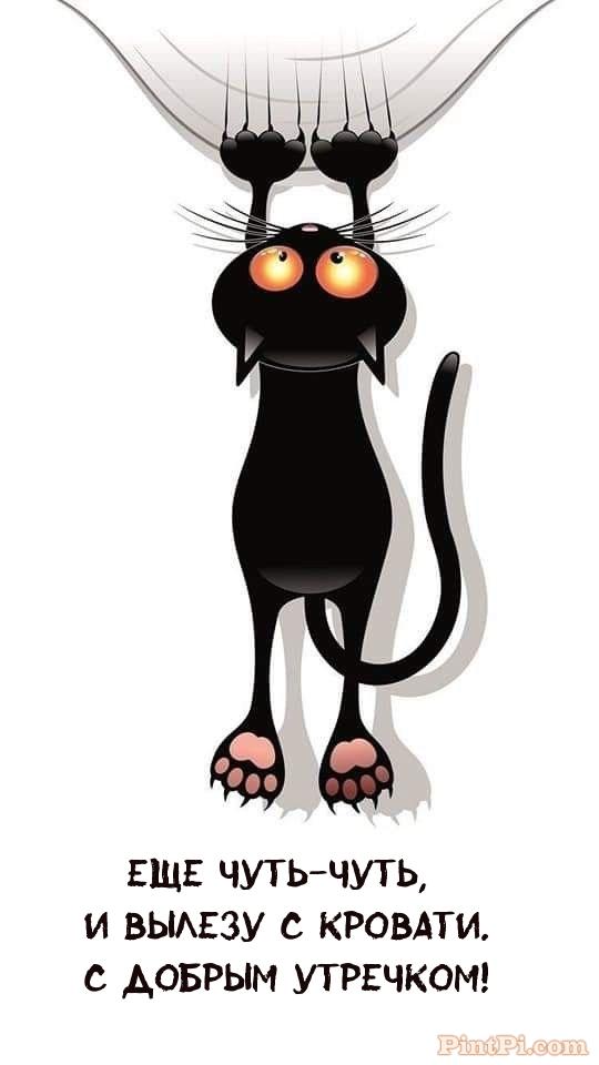 Еще чуть-чуть, и вылезу с кровати. С добрым утречком!
