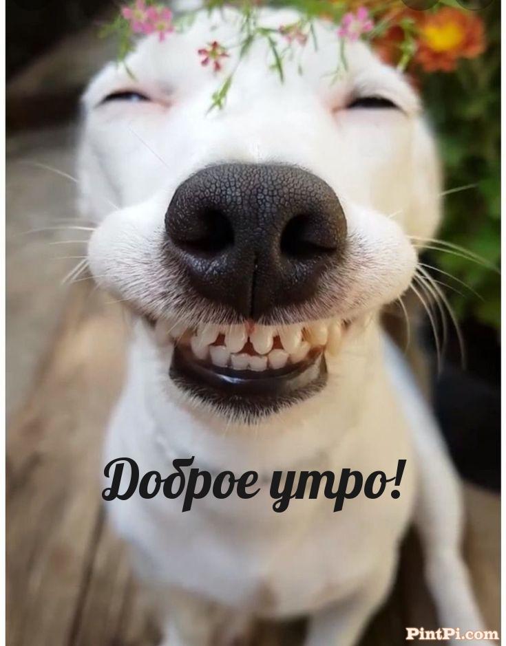 Доброе утро!