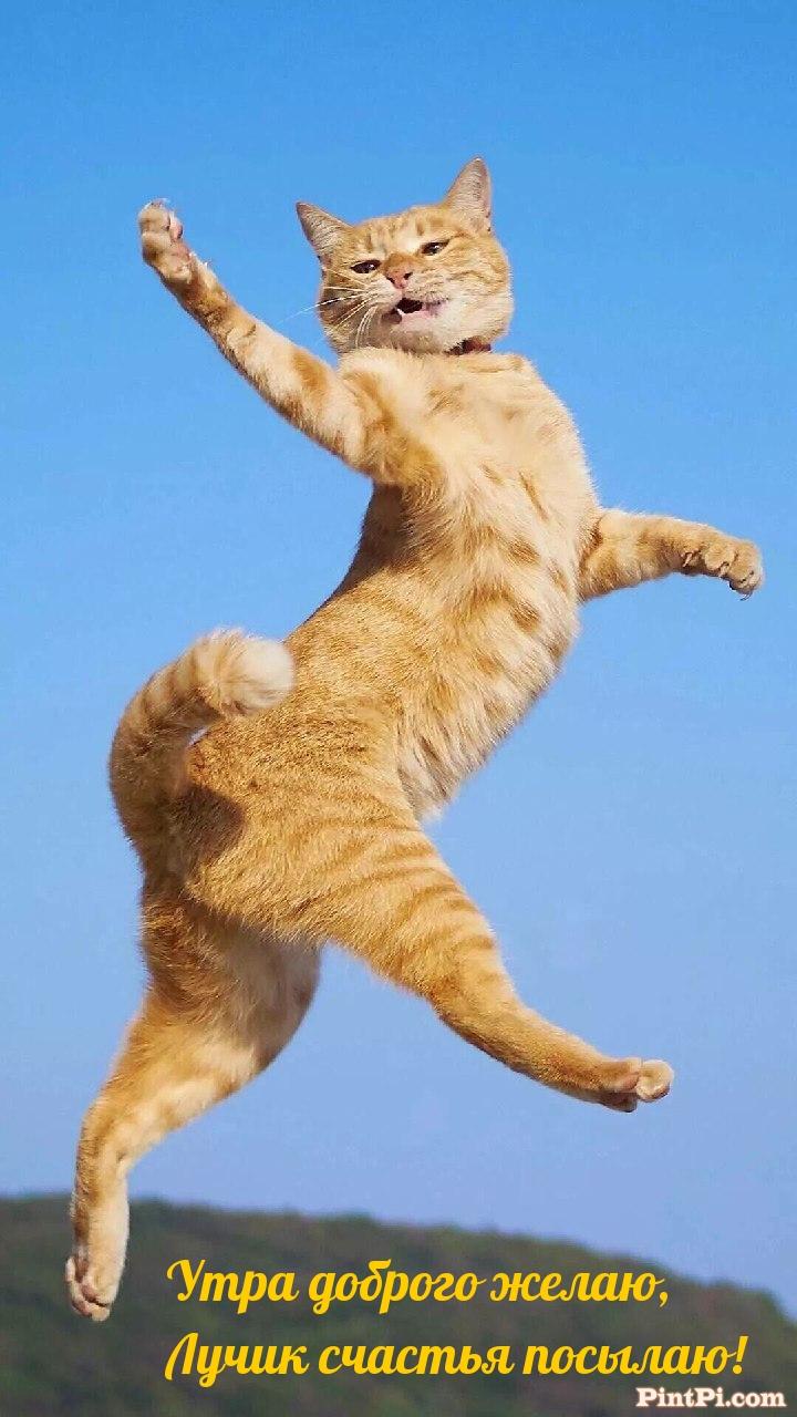 Утра доброго желаю, Лучик счастья посылаю!