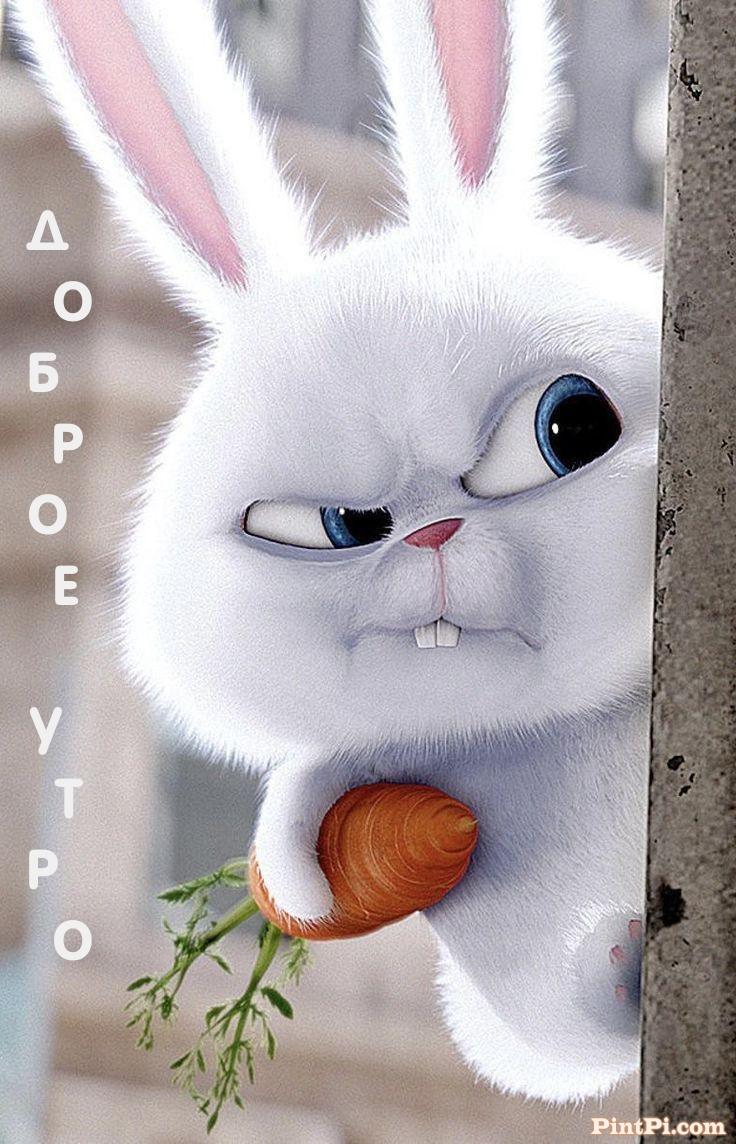 Доброе утро