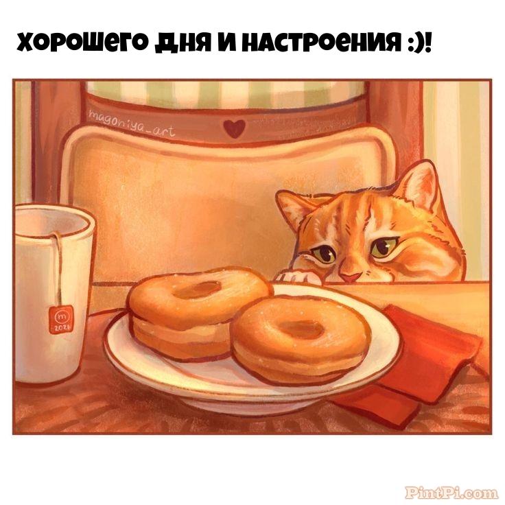 Хорошего дня и настроения :)!